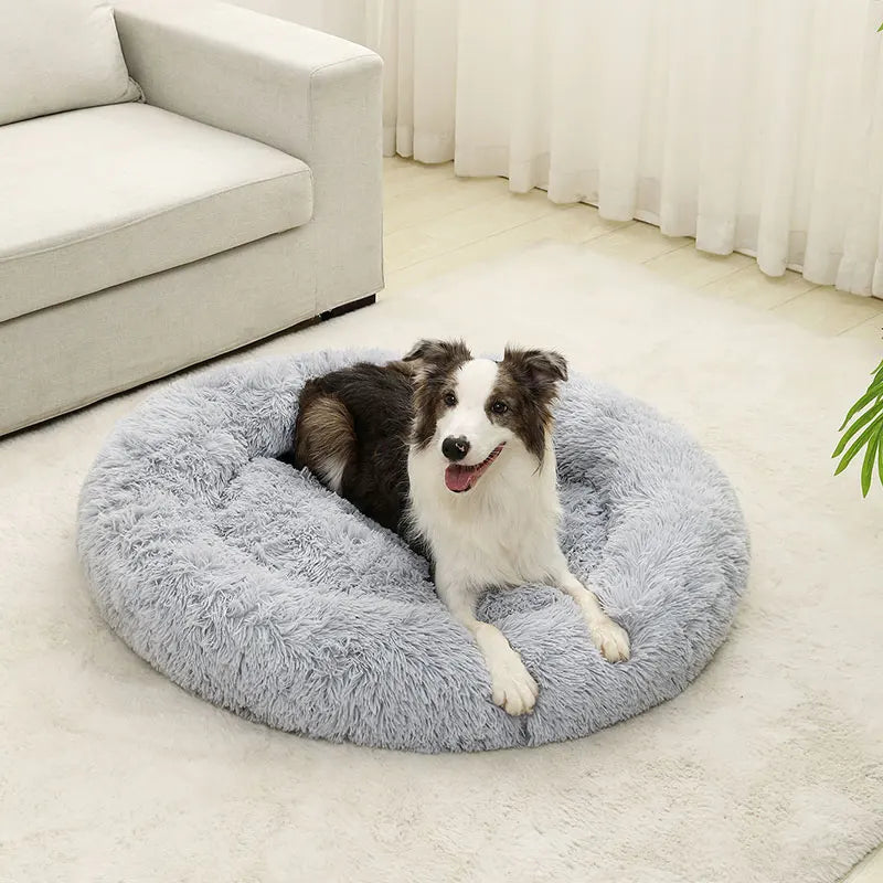 Plush Pet Retreat