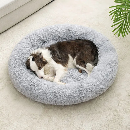 Plush Pet Retreat